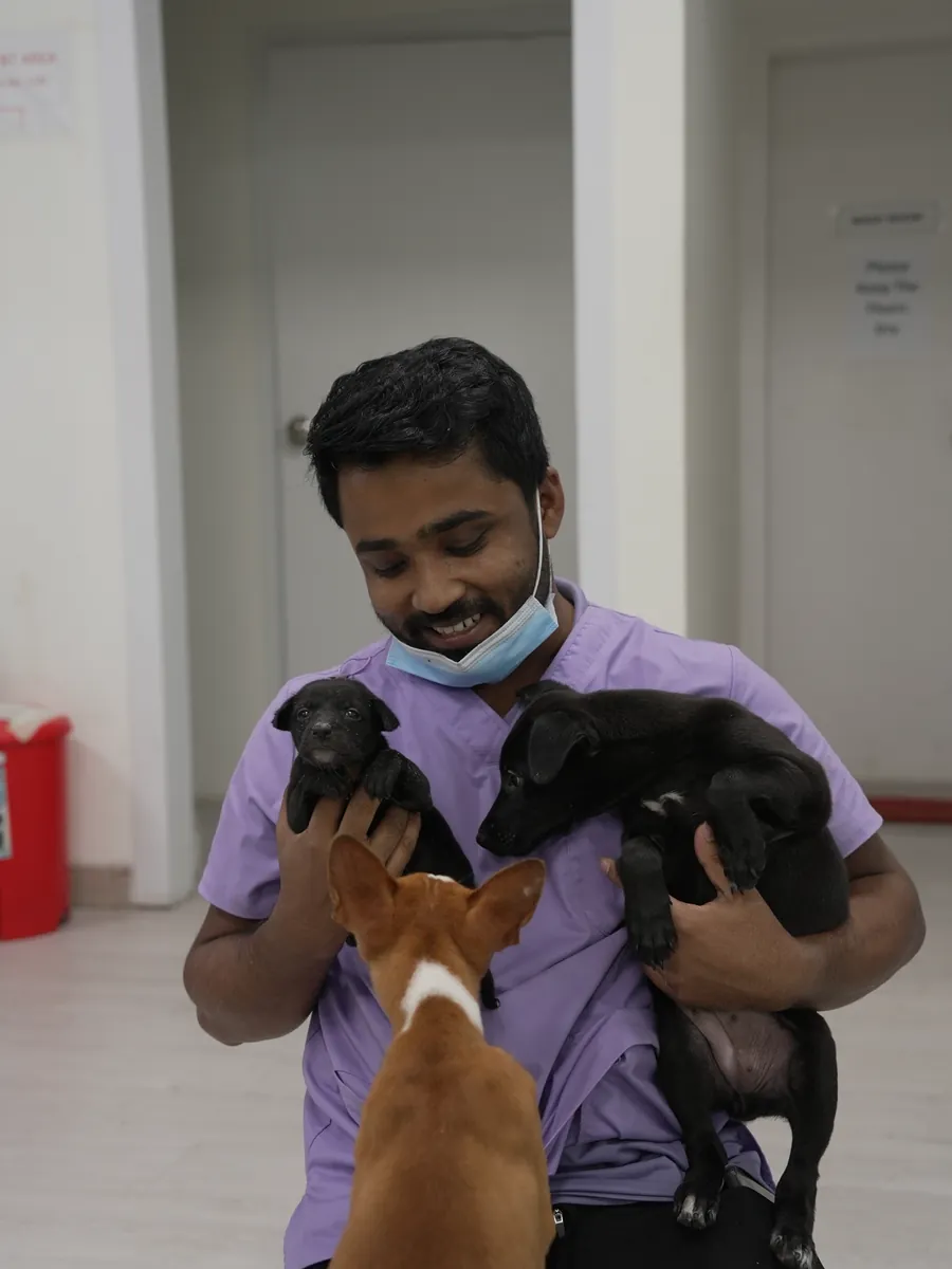 A smiling veterinarian holding two black puppies