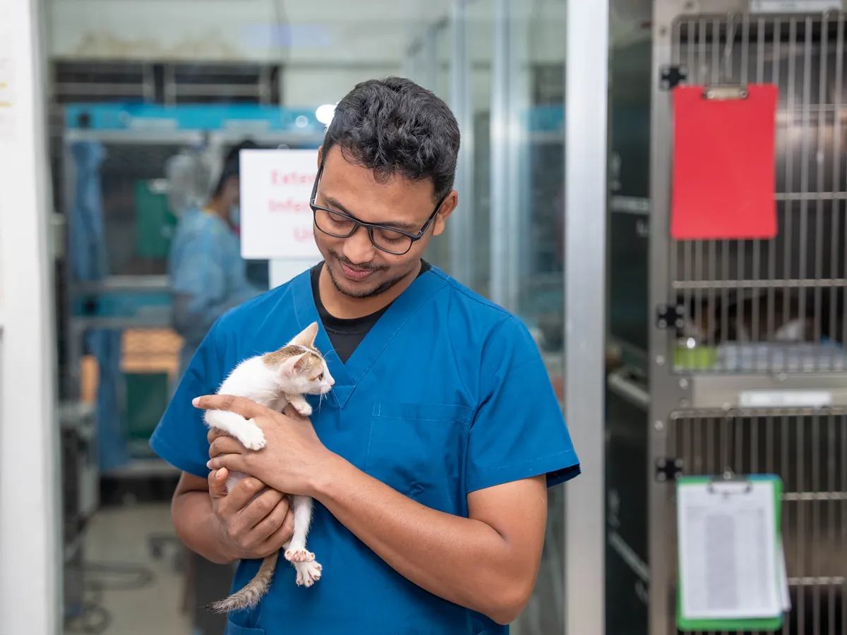 A veterinarian gently cradling a kitten in the hospital ward